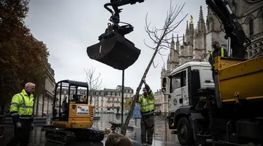 Pekerja kota menanam pohon di Bordeaux (24/11/2021). Inisiatif penanaman kembali telah muncul sejak awal abad ke-21 didorong oleh perubahan tujuan pembangunan perkotaan dan meningkatnya kekhawatiran tentang pemanasan global. (AFP/Philippe Lopez)
