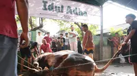 Idul Adha, Sahroni DPR Bagikan 33 Ton Daging Kurban untuk Warga Jakarta