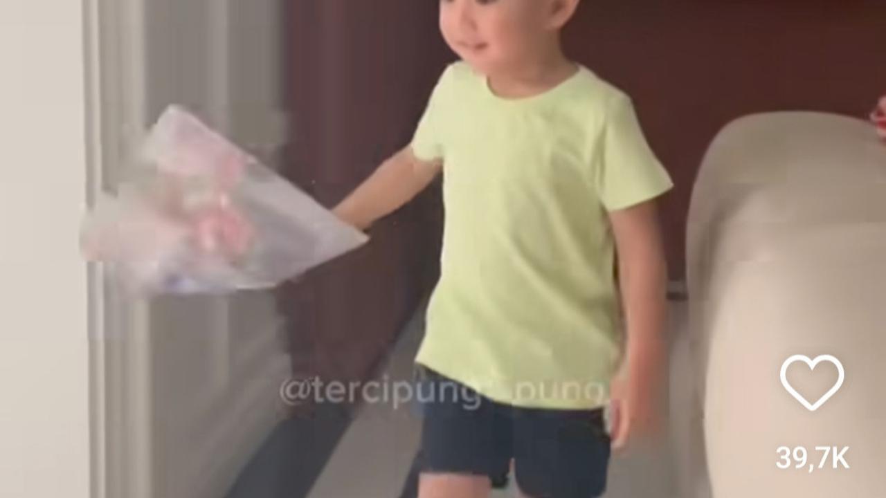 Aksi Nyeleneh Rayyanza Cipung Takuti Laron Pakai Foto Sendiri, Ternyata Gagal - Rafathar & Baby Lily Turun Tangan