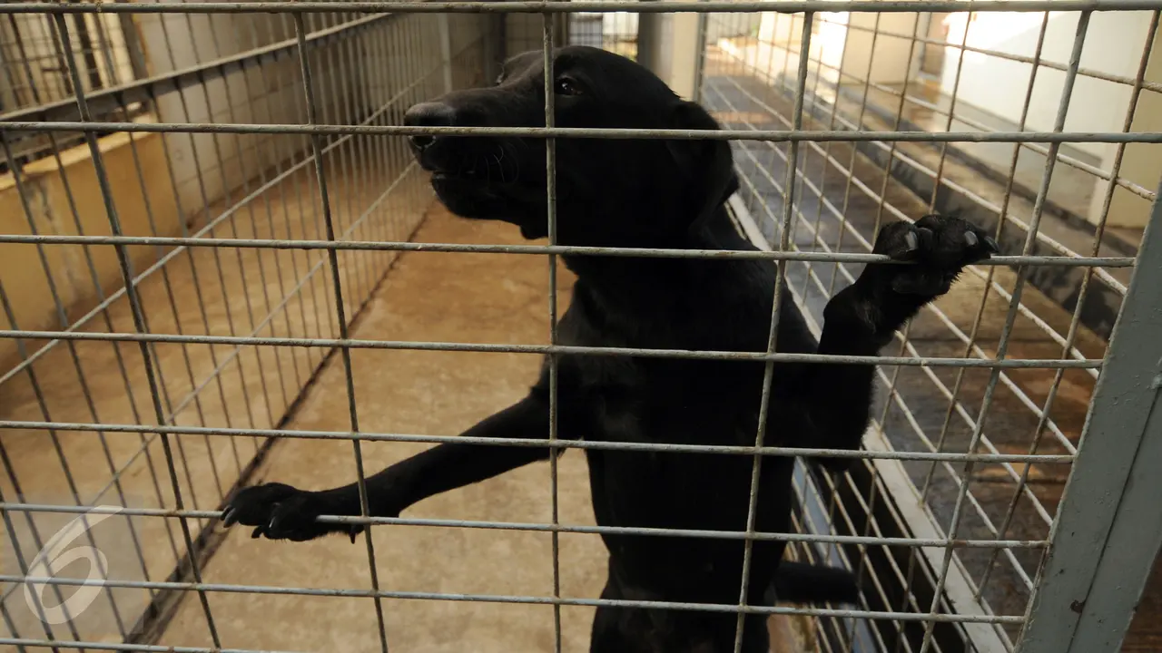 20151119-Menteri Imigrasi Australia Sambangi Markas K-9 Bea Cukai-Jakarta