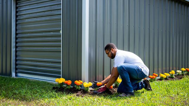 Strategi Mengusir Anakan Ular dari Gudang Rumah yang Jarang Dibersihkan