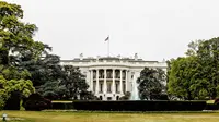 UFC Freedom 250: White House Ready to Host Historic UFC Fight in June 2026