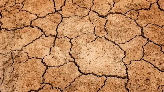 ilustrasi kemarau dan kekeringan