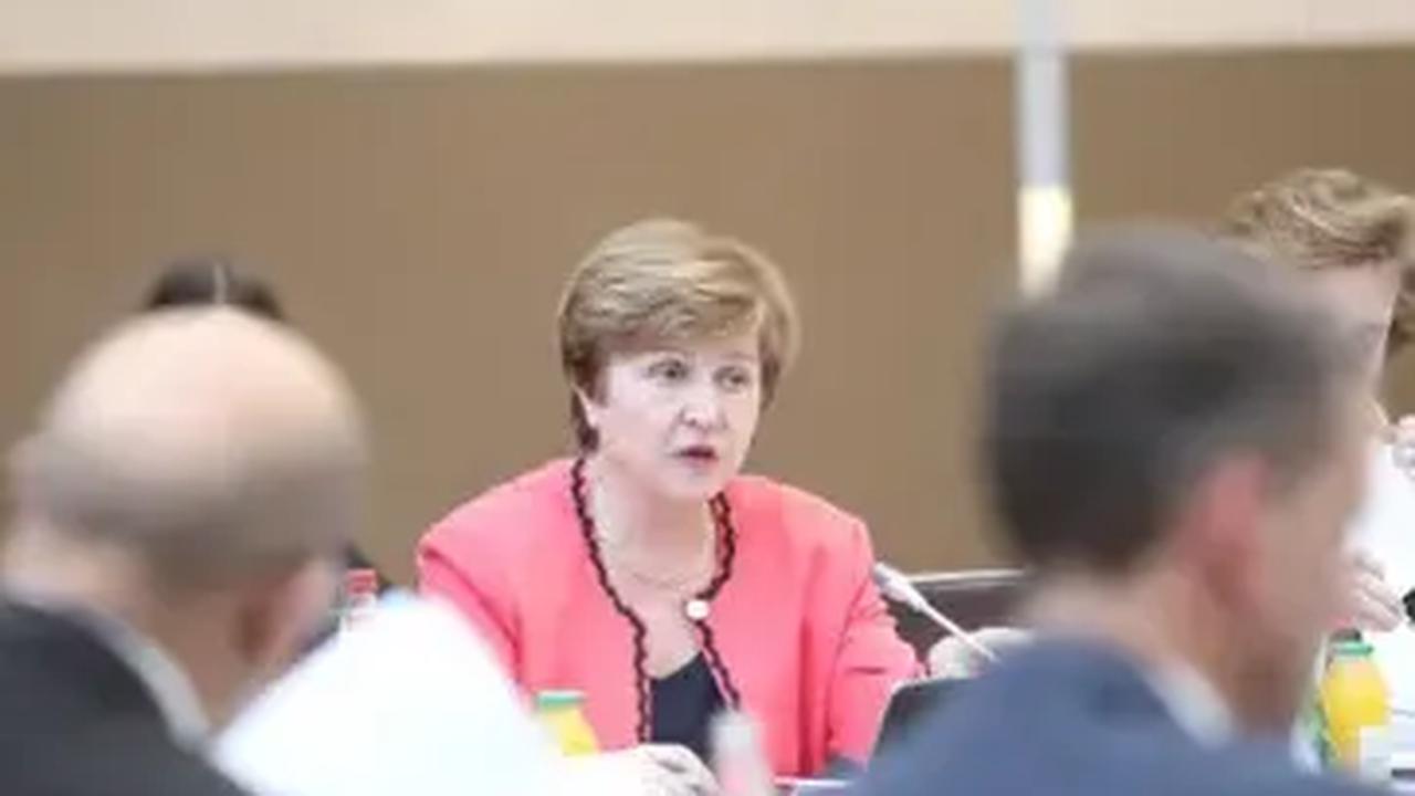 Begitu juga dengan Dana Moneter Internasional (IMF) juga turut memberikan dukungannya dengan membentuk program Food Shock Window untuk mengatasi krisis pangan global.