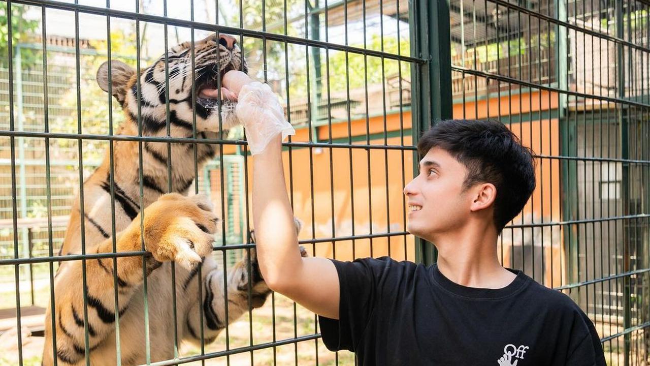 Alshad Ahmad Akui Pernah Nikahi Nissa Asyifa, Tiara Andini Malah Dibully Netizen Dikatain Ibu Tiri
