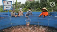 5 Rekomendasi Usaha Ternak Ikan 1 Bulan Panen, Peluang Cuan Cepat dengan Modal Terjangkau
