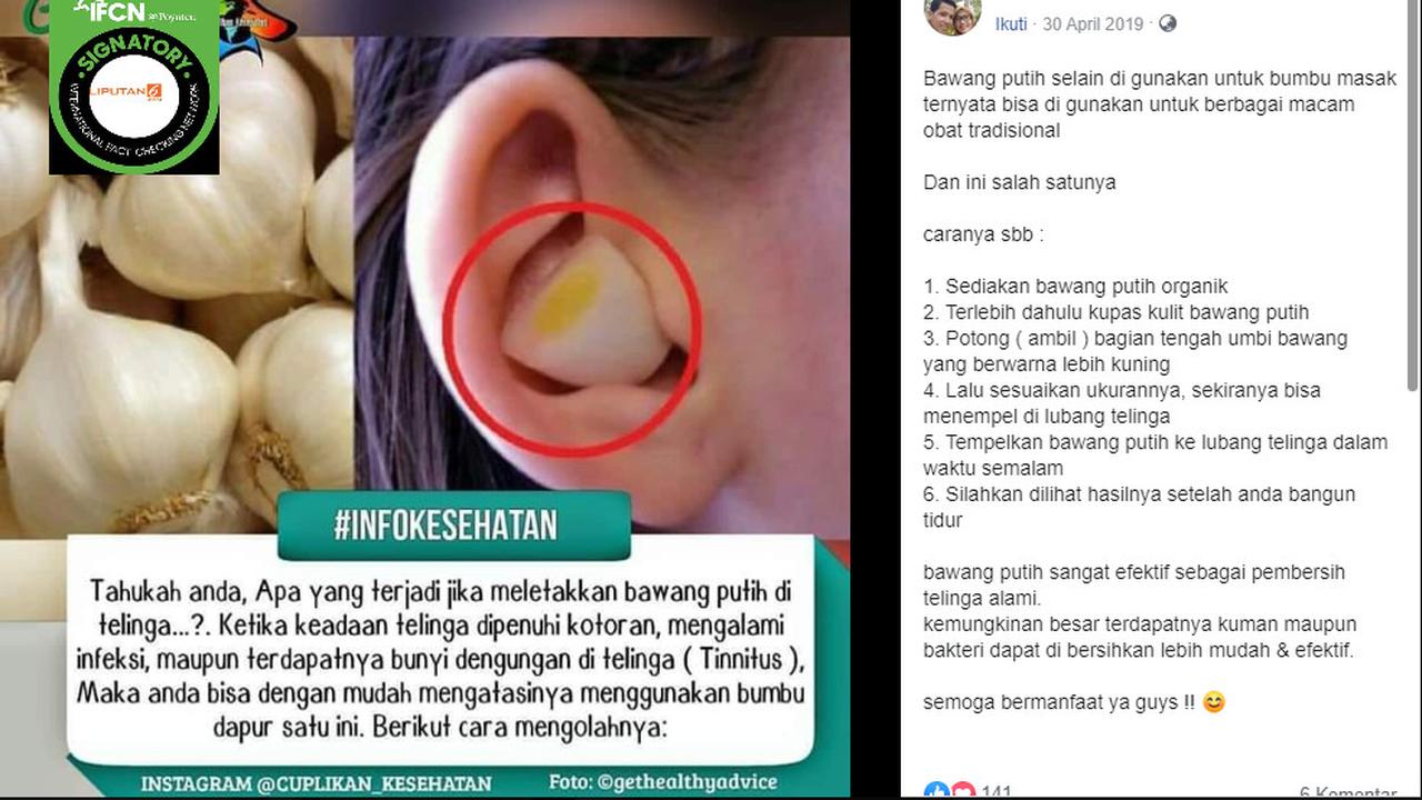 Penelusuran Cara Menggunakan Bawang Putih Sebagai Obat Sakit Telinga