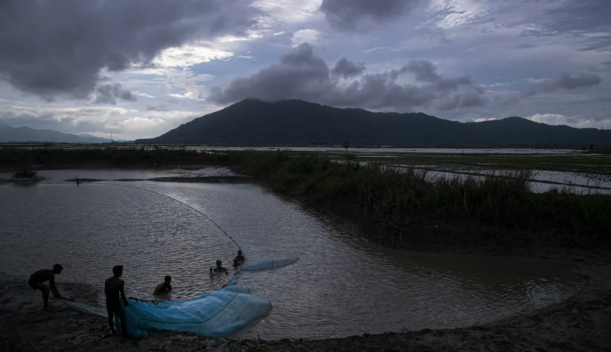 Nelayan India meletakkan jala ikan mereka saat senja di surutnya air banjir di sawah di pinggiran Gauhati, India, Senin (14/9/2020). (AP Photo / Anupam Nath)