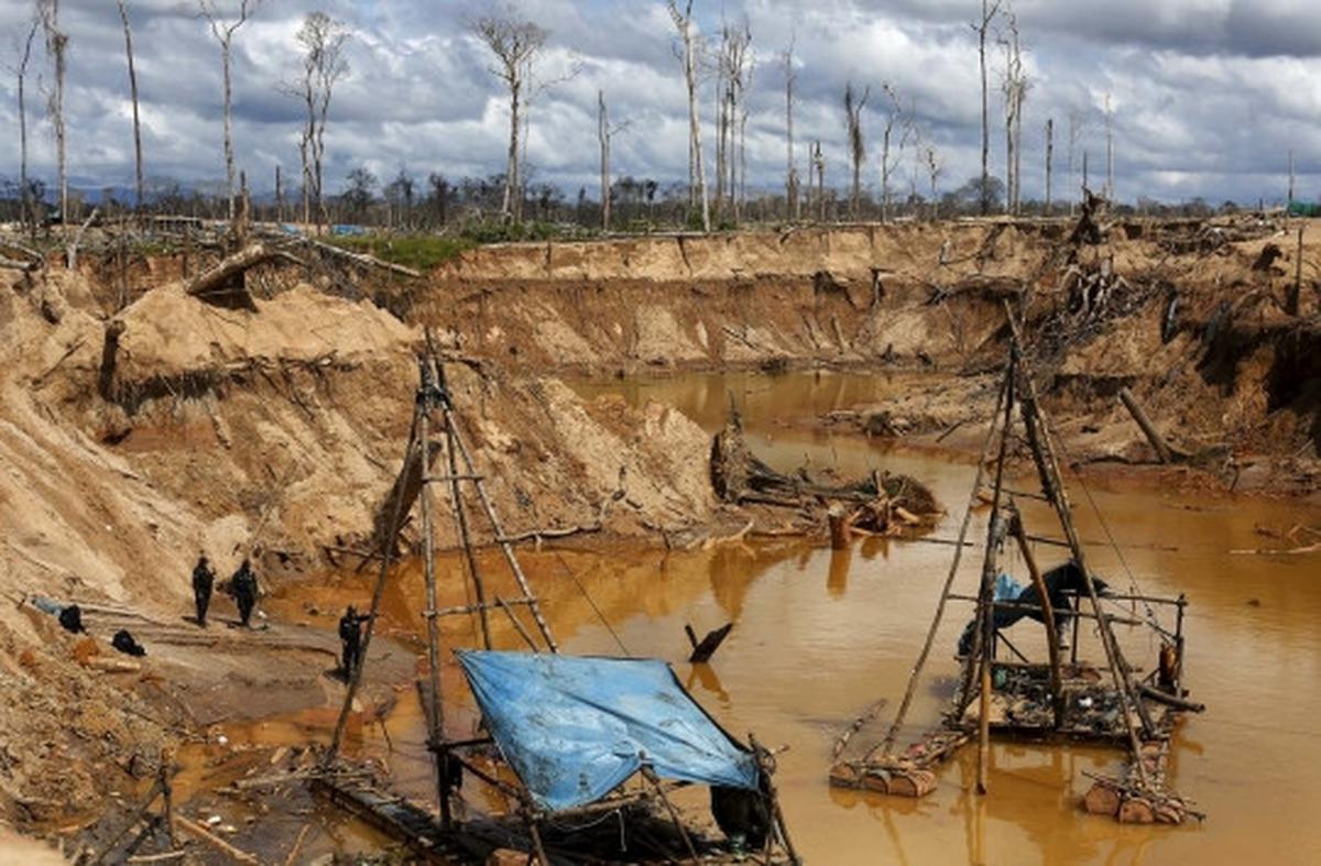 Begini kondisi hancur Hutan Amazon yang digerogoti tambang liar