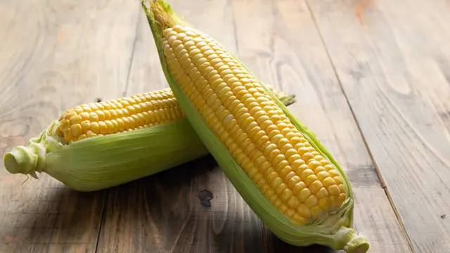 Jagung