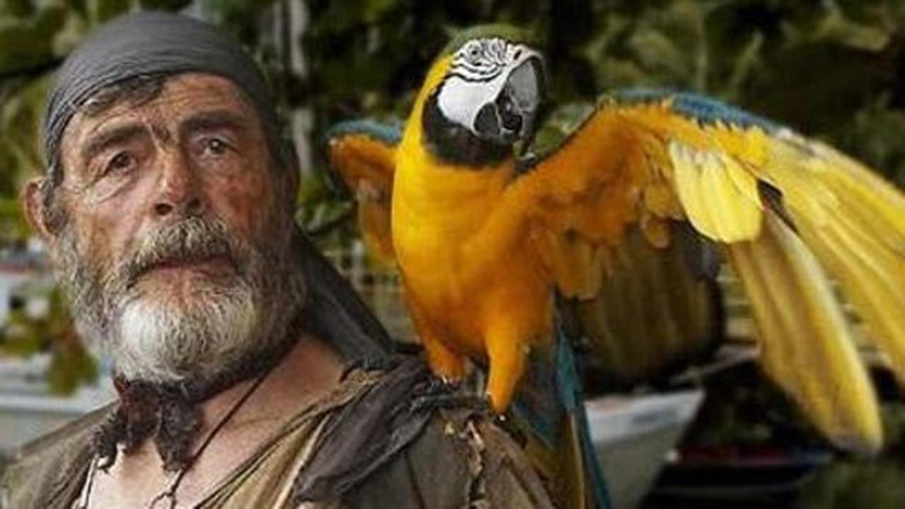 Kenapa Bajak Laut Kerap Digambarkan dengan Burung Kakaktua di Pundak? Ini Alasannya