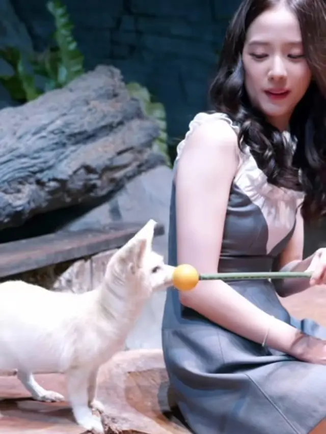 Jisoo Blackpink Bermain dengan Penguin di Cagar Alam Mandai
