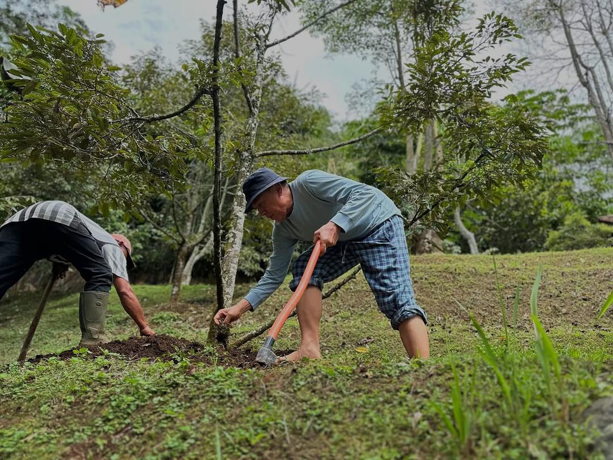 Jenderal Bintang Tiga Polisi Lagi Asyik Nyangkul di Kebun
