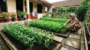 Cara Menanam Kangkung Darat di Pekarangan, Mudah dan Cepat Dipanen