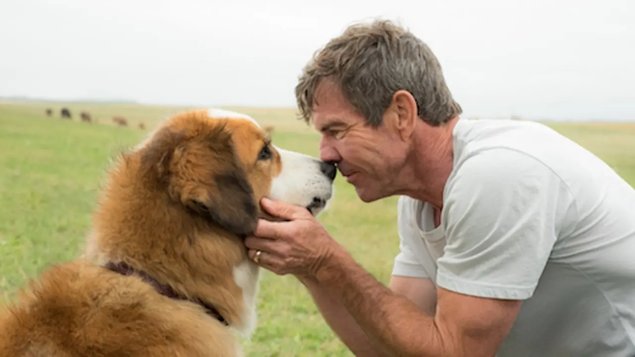 [Bintang] A Dog's Purpose