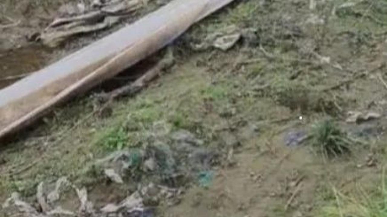 Penemuan Benda Mirip Kulit Ular dengan Panjang Tak Masuk Akal<br>