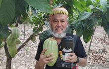 Emas Cokelat: Kakao Jadi Modal Baru Diversifikasi Ekonomi Berkelanjutan Kutai Timur
