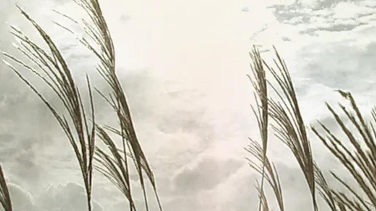 Memahami tentang Kehidupan