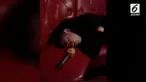 Seorang pria tertidur sampai mengorok di sebuah tempat karaoke. Alhasil, pria itu pun dikerjai teman-temannya. Lihat deh!