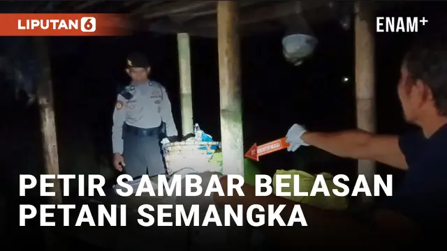 Sedang Berteduh, 12 Petani Semangka di Jembrana Bali Terkena Sambaran Petir