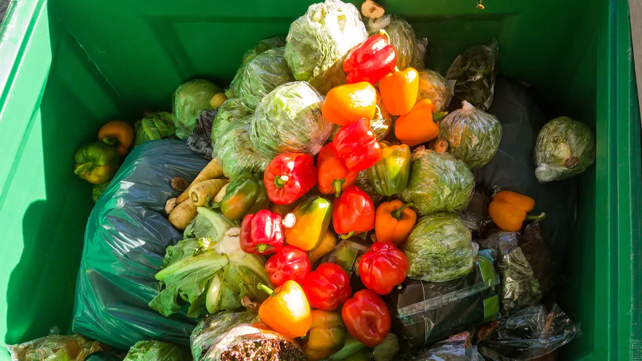 Bagaimana Food Waste Berpengaruh Terhadap Kerusakan Lingkungan?