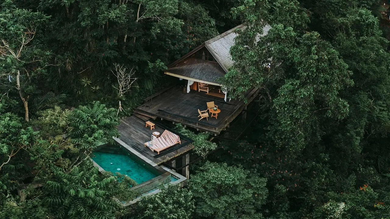Banyan Tree Escape