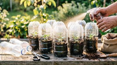 7 Cara Membuat Rumah Bibit Mini dari Botol Bekas, Mudah dan Ramah Lingkungan