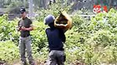liputan6