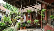 Cara Membuat Pot Gantung dari Botol Plastik Bekas, Estetik dengan Modal Minim