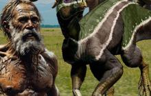 Ini Alasan Manusia Tak Punya Umur Panjang seperti Dinosaurus