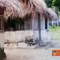 Citizen6, Maluku: Tempat belajar mengajar yang terdapat di Pulau Marsela yang sederhana yang berbeda jauh dengan keadaan gedung mengajar di kota-kota lain. (Pengirim: Bobhy Lewie)