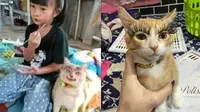 6 Kucing Pakai Makeup Biar Terlihat Cantik Ini Kocak, Ada yang Menor Banget (sumber: Twitter/miekuah02/kochengfess)