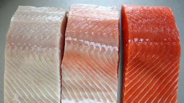 Salmon dan Valentine