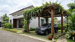 6 Tanaman Merambat Berbunga yang Bisa Menutupi Pergola dengan Cepat untuk Hunian Asri