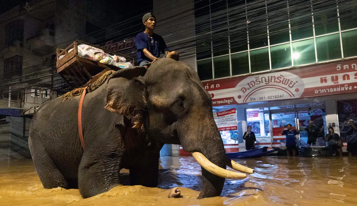 <p>Banjir besar melanda beberapa bagian Thailand utara akibat hujan lebat yang menyebabkan Sungai Ping mencapai tingkat "kritis". (AP Photo/Wason Wanichakorn)</p>
