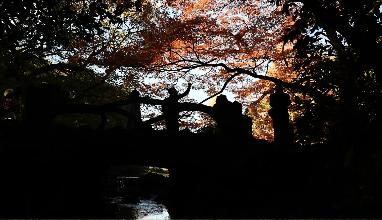 Orang-orang berjalan di bawah dedaunan musim gugur ketika mereka menikmati cuaca di Gyoen Park di Tokyo (5/12/2019). Gyoen Park berada di jalur Tokyo Metro Fukutoshin dekat stasiun Shinjuku-sanchōme. (AFP/Charly Triballeau)