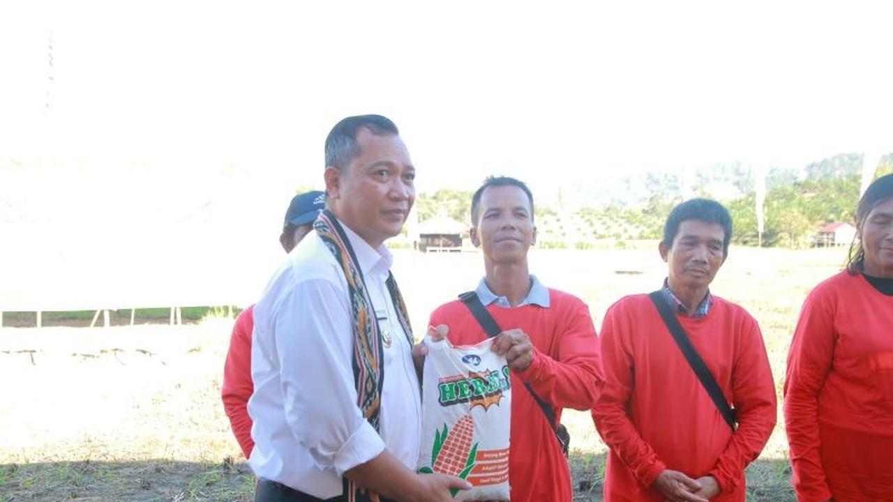 Penguatan Sektor Pertanian Bengkayang: Kunci Ekonomi Daerah dan Swasembada Pangan