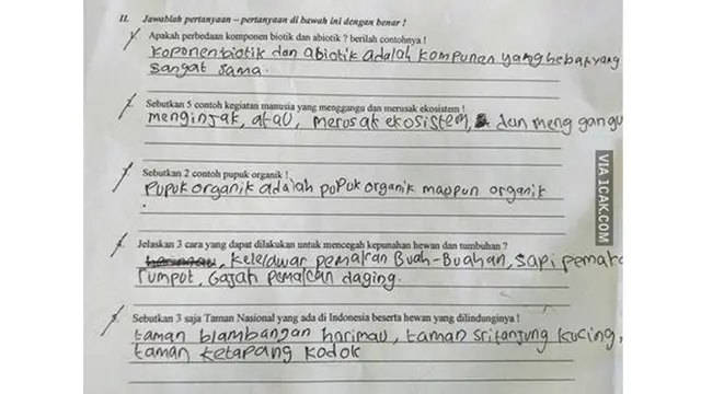 6 Jawaban Nyeleneh Murid saat Ulangan Pelajaran IPA Ini Kocak