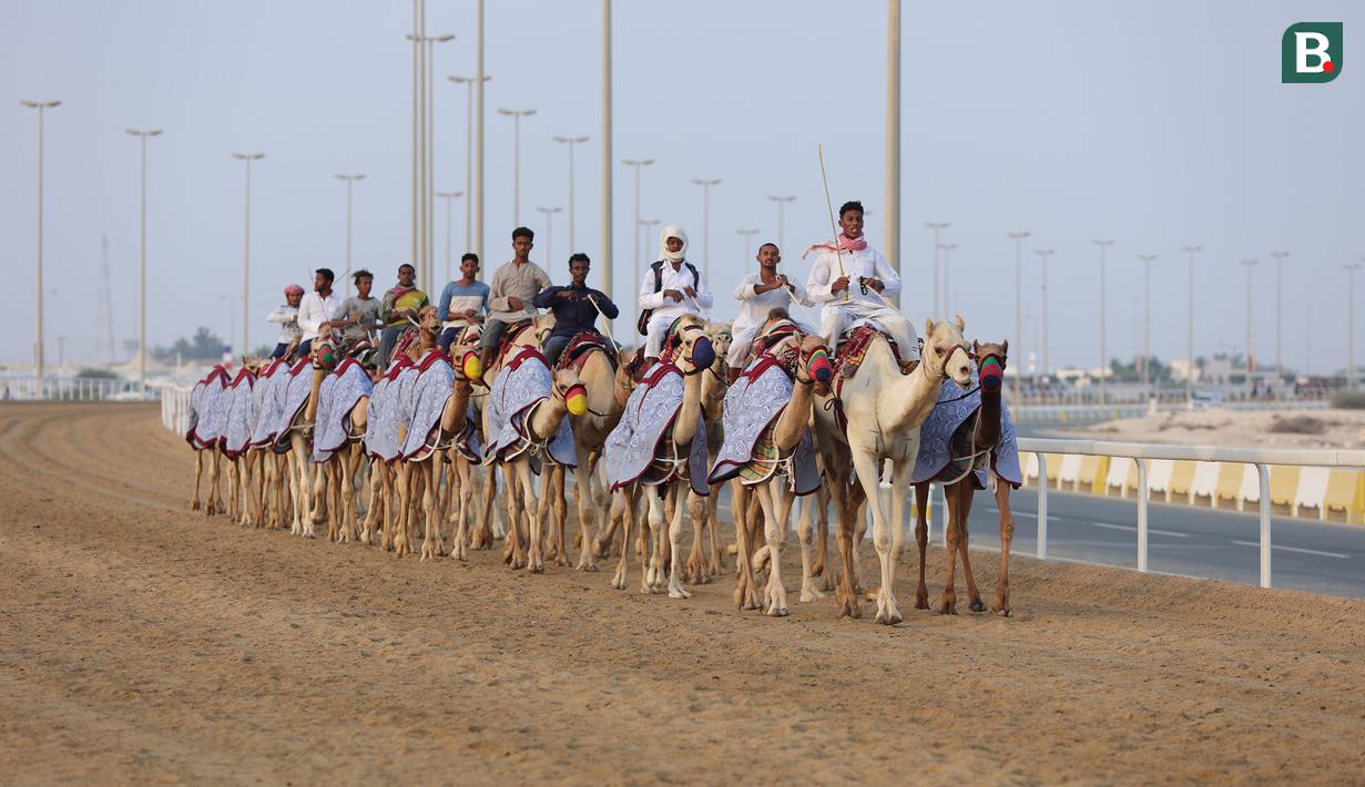 Kegiatan tersebut berlangsung di arena balap super luas bernama Al-Shahaniya Camel Racetrack atau dekat dengan lokasi latihan Timnas Portugal selama Piala Dunia 2022. (Bola.com/Ade Yusuf Satria)