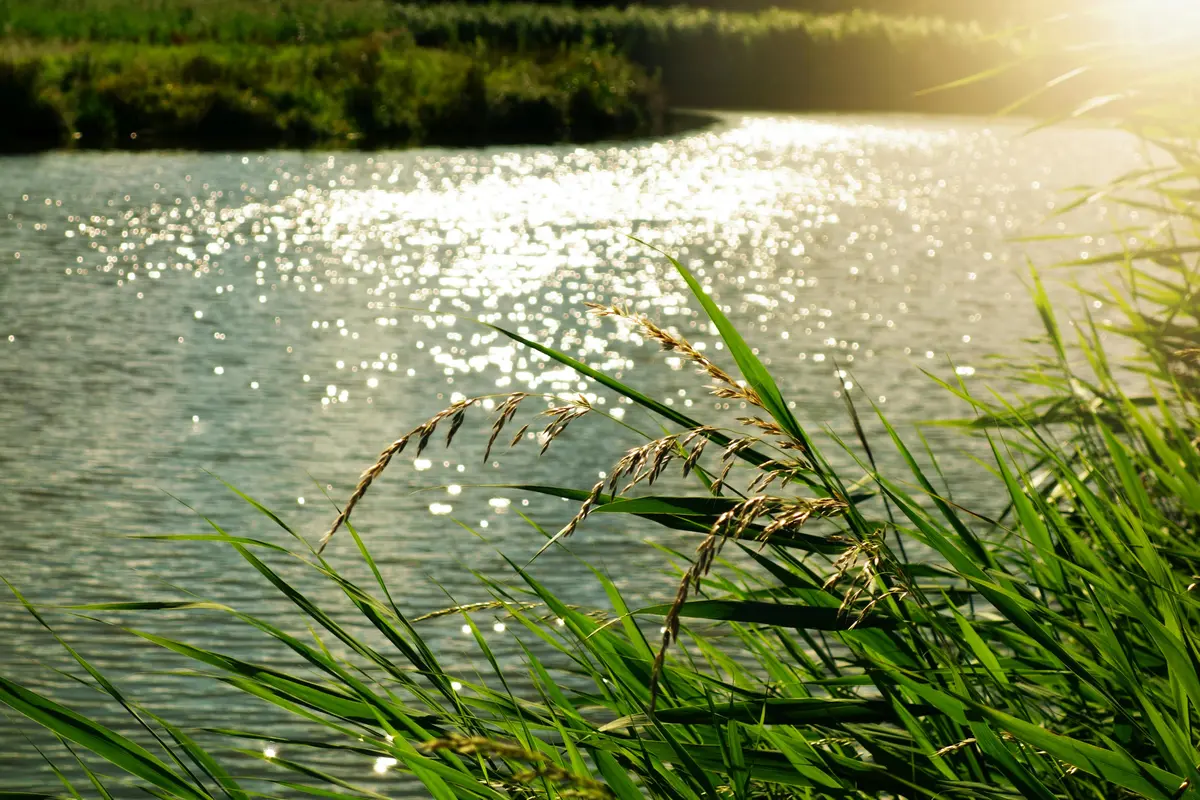 Sungai