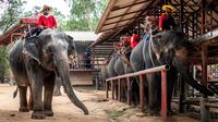 Mahout atau pawang bersama gajah mereka menunggu turis yang datang di Taman Chang Siam, Pattaya, Thailand, Rabu (12/2/2020). Chang Siam Park adalah salah satu primadona bagi wisatawan China di Pattaya  yang kini berangsur sepi karena penyebaran virus corona covid-19. (Mladen ANTONOV / AFP)