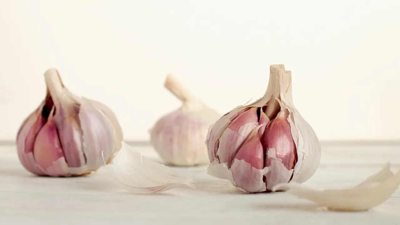 Ilustrasi bawang