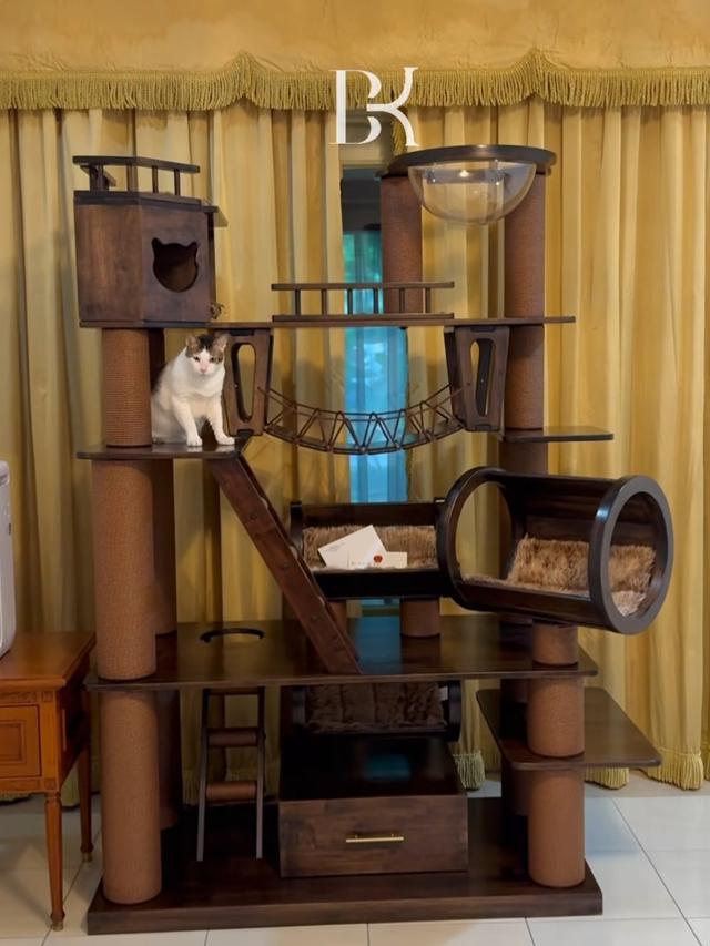 Rumah Bobby Kertanegara Kucing Prabowo