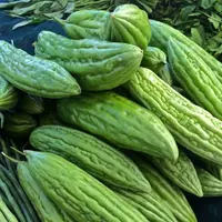 Sayur Pare (Credit: Pinterest/The Plant-Powered Dietitian)
