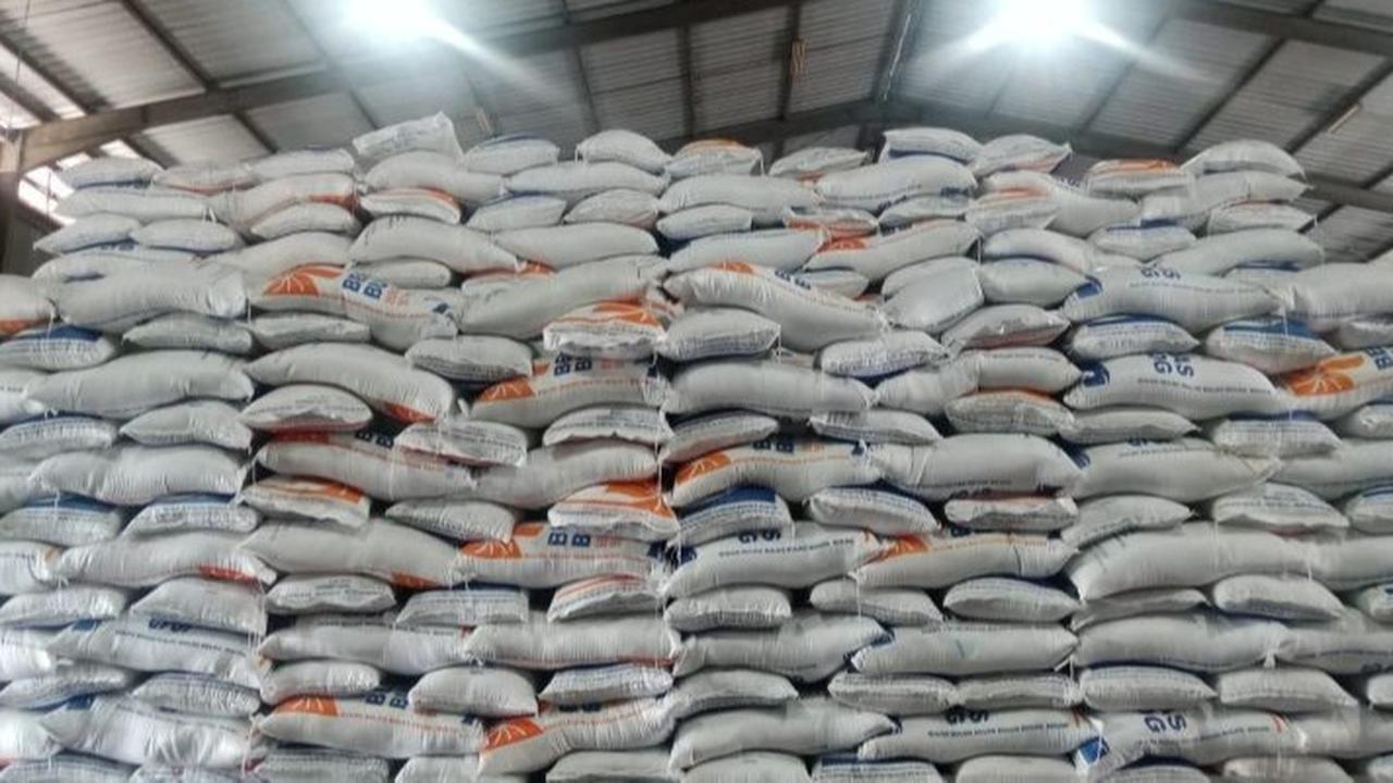 Wamentan soal Beras di Gudang Bulog Berkutu: Tak Sampai Ratusan Ribu Ton