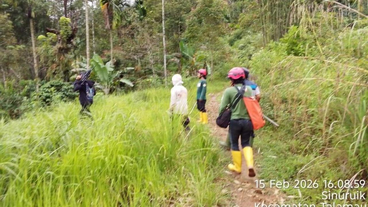 BKSDA Sumbar Turun Tangan Atasi Serangan Beruang di Talamau, Tiga Warga Luka-Luka