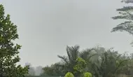 Kabut Asap Kebakaran Hutan Masih Hantui Desa Limbung Kalbar