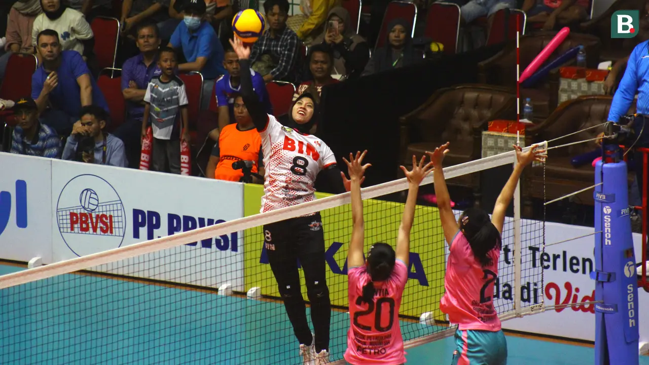 PLN Mobile Proliga 2024