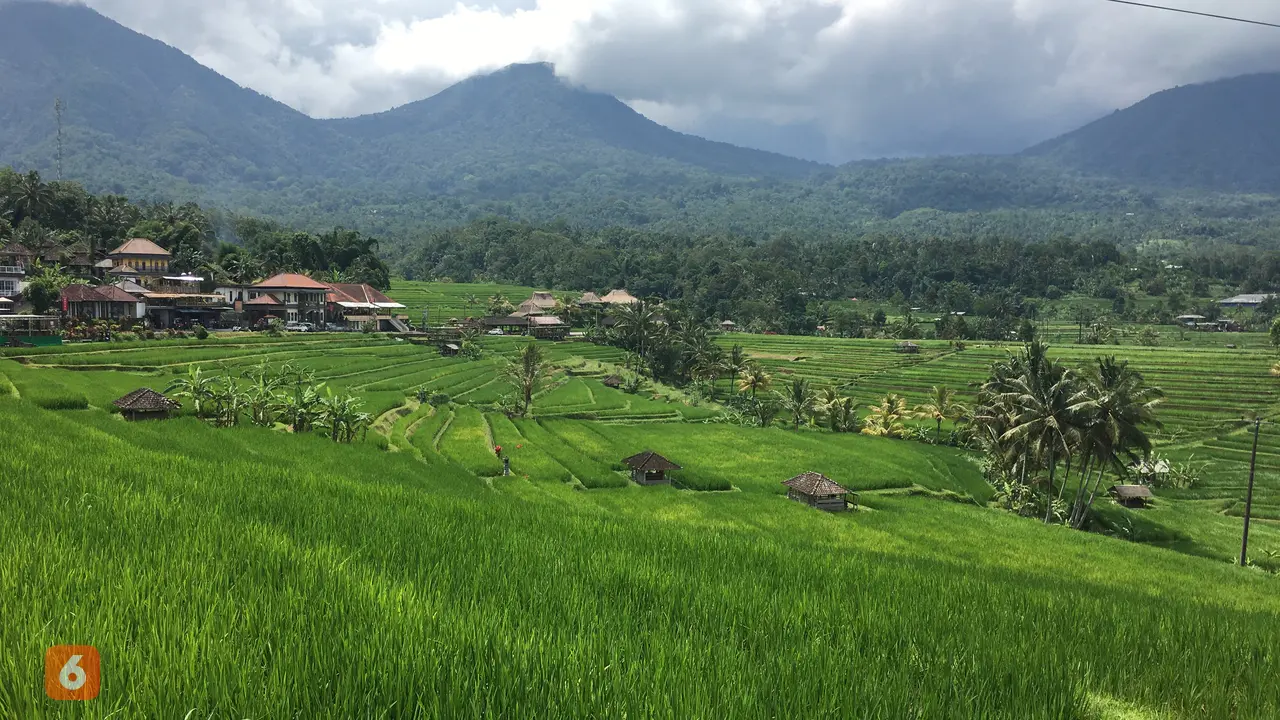 Desa Wisata Jatiluwih