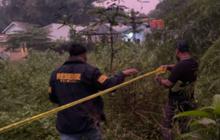 Sadis, Perempuan Tewas Terborgol di Tangerang Ternyata Diperkosa Tiga Pelaku Baru Ditusuk Pakai Pisau dan Obeng